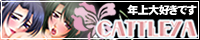 CATTLEYA
